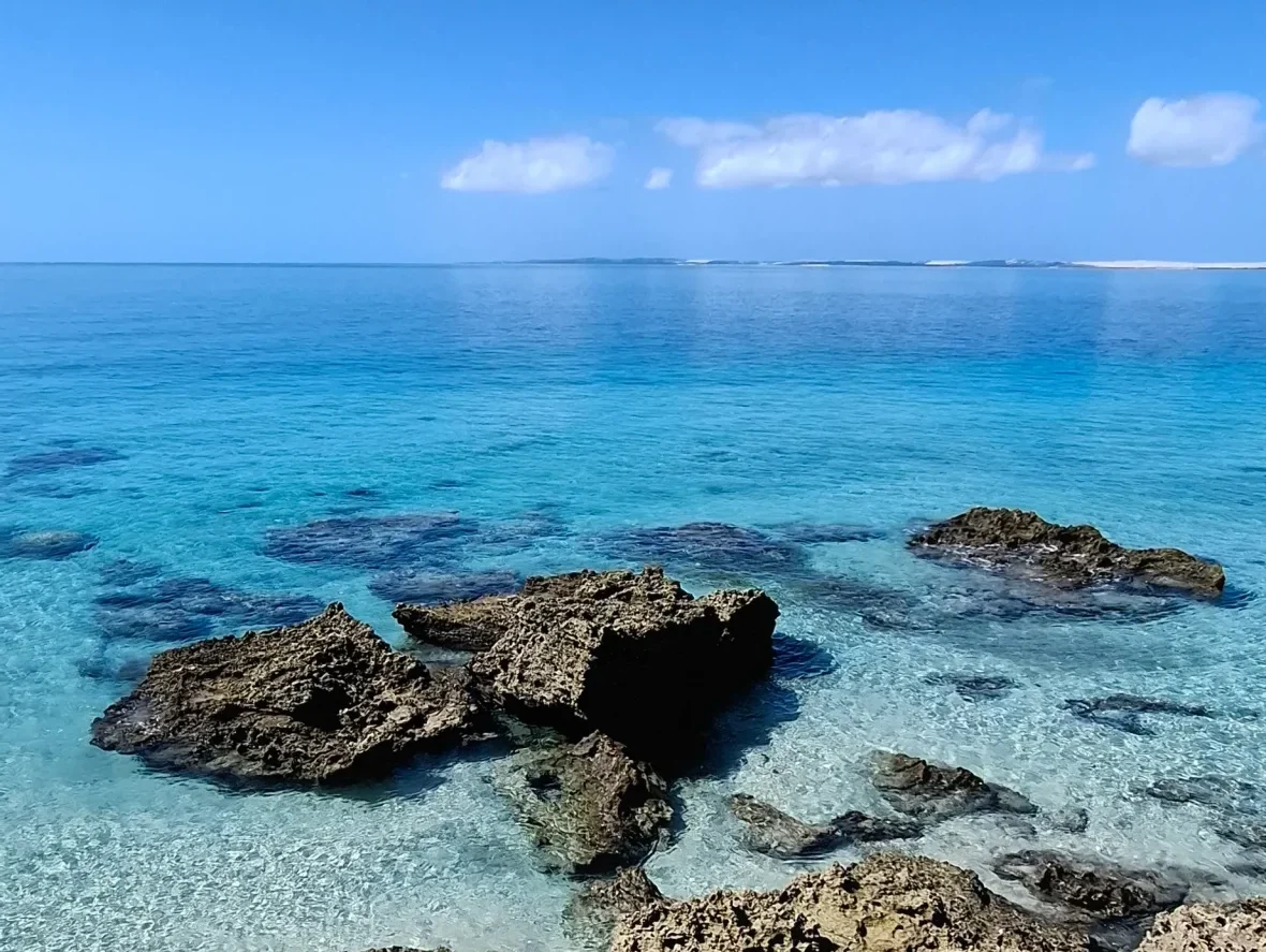 Image hover effect image