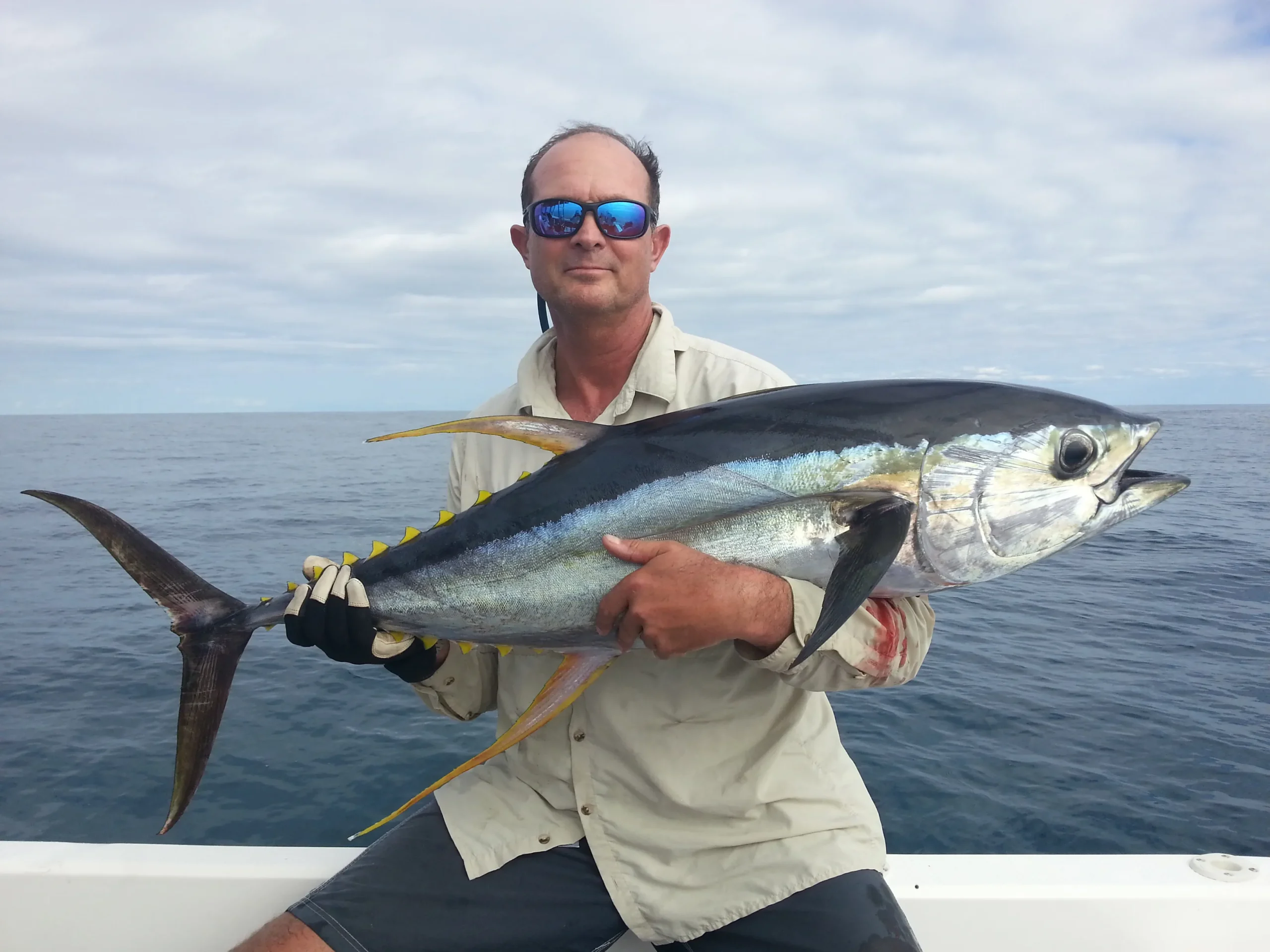 Image hover effect image